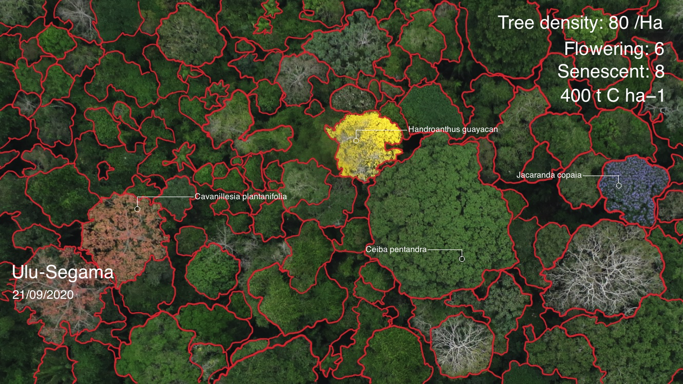 Geospatial Image Segmentation Empowering Sustainability through Geospatial Segmentation
